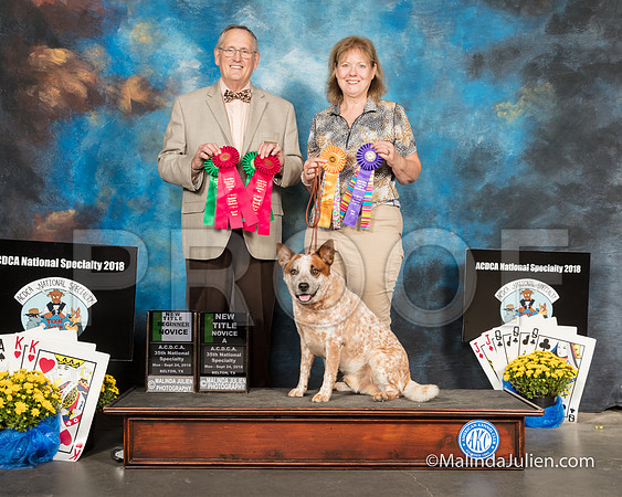 ACD #32 Mon NovBegA Kuper Richard Smith Judge Robert Burgin-SSR_2075-HR3