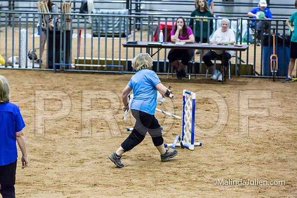 Agility STD Sun 16 Brittany-JJJ_4949-HR3