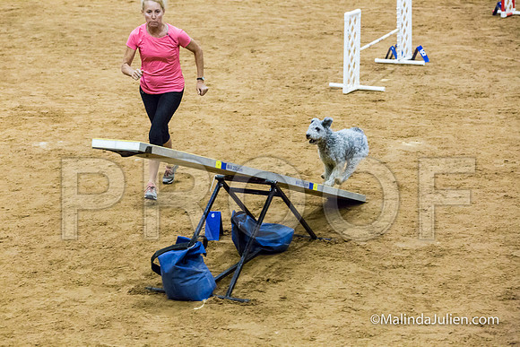 Agility STD Sun 16 Prem Pumi Borsi-JJJ_8647-HR3