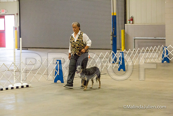 ACD #045 Mon NovB Griff Mia-JJJ_9545-HR3