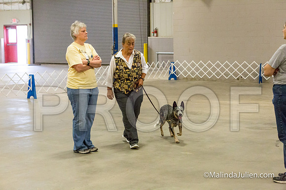 ACD #045 Mon NovB Griff Mia-JJJ_9552-HR3
