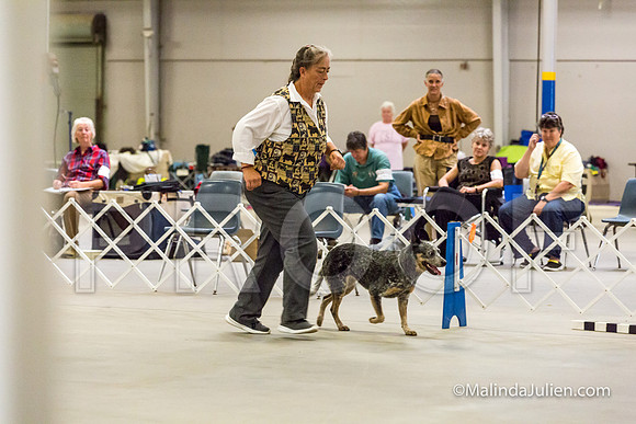 ACD #045 Mon NovB Griff Mia-JJJ_9559-HR3