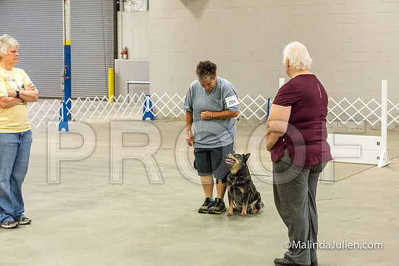 ACD #204 Mon Open B Envy Angelia-JJJ_9338-HR3