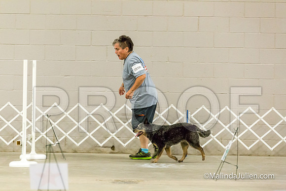 ACD #251R Mon Rally ExcB Envy Angelia-JJJ_9870-HR3