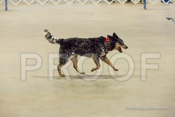 ACD #401 Mon UTb Frost Ingrid A-JJJ_9128-HR3