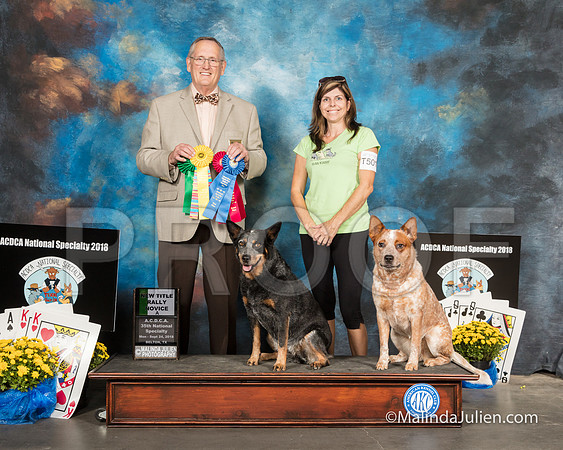 ACD #08R #09R RNA Nw Title Dawn Limehouse Debra Mintzer Amanda Odel -SSR_2114-HR3