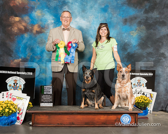 ACD #08R #09R RNA Nw Title Dawn Limehouse Debra Mintzer Amanda Odel -SSR_2119-HR3