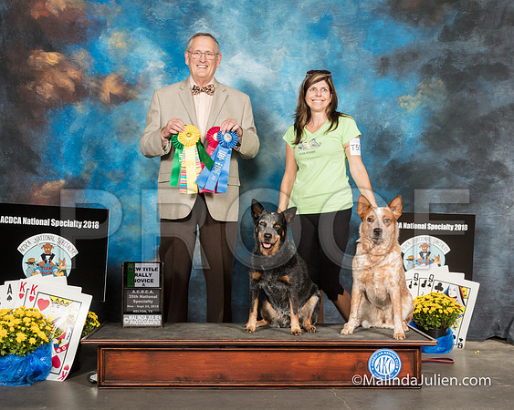 ACD #08R #09R RNA Nw Title Dawn Limehouse Debra Mintzer Amanda Odel -SSR_2120-HR3
