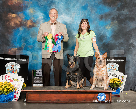 ACD #08R #09R RNA Nw Title Dawn Limehouse Debra Mintzer Amanda Odel -SSR_2118-HR3