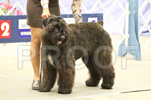 Bouv-8488LR