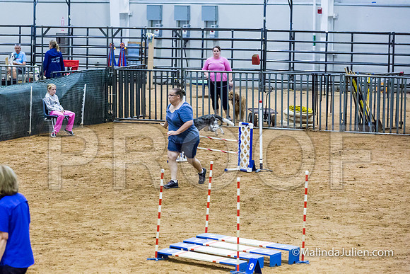 Agility Sun STD 20 All American Dog-JJJ_5099-HR3