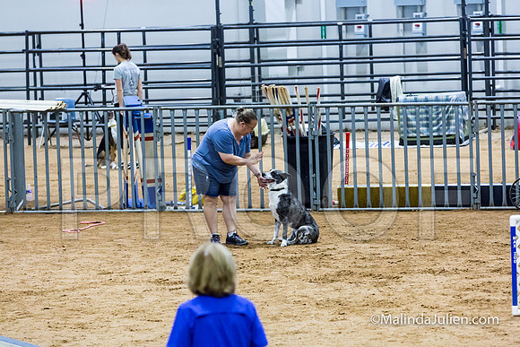 Agility Sun STD Fast 20 All American Dog Loki-JJJ_4764-HR3