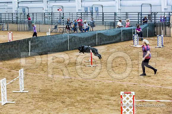 Agility Sun STD Fast 24 Bouvier Texsi-JJJ_4842-HR3
