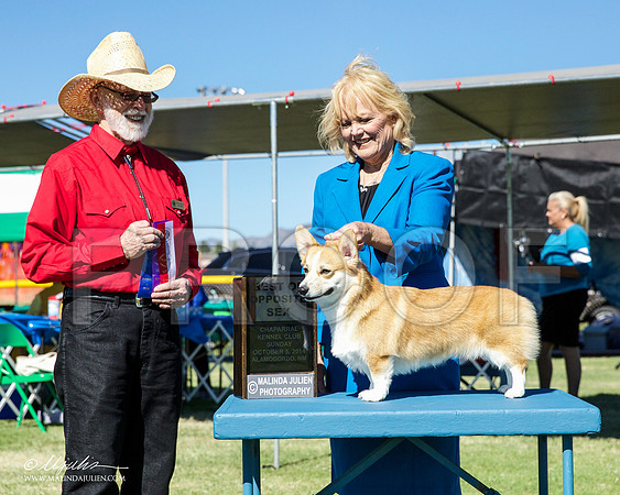 _CL_0396-AlamogordoOct2014-HR3
