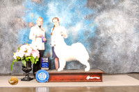 Samoyed #17 SUN WD Major Judge Patricia Sosa