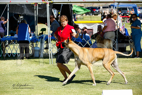 _JN_1234-AlamogordoOct2014-HR3