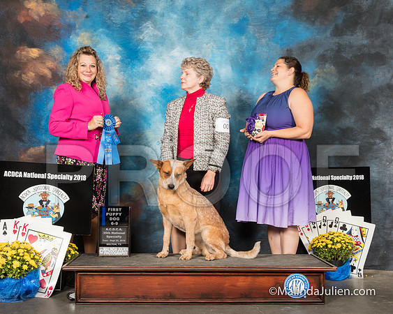 ACD #007 Tues 6-9 1st Kerry Hamilton M Staib Judge Sherry MacLennan-SSR_2307-HR3