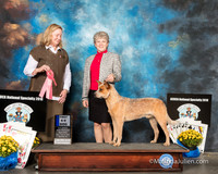 ACD #007s Tues 6-9D1 Kerry Hamilton M Staib Judge Gaye Lynn Todd