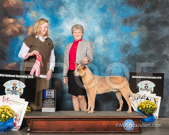 ACD #007s Tues 6-9D1 Kerry Hamilton M Staib Judge Gaye Lynn Todd-SSR_2244-HR3