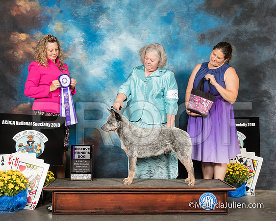 ACD #023 Tues RWD Jo Lynne York Judge Sherry MacLennan-SSR_2300-HR3