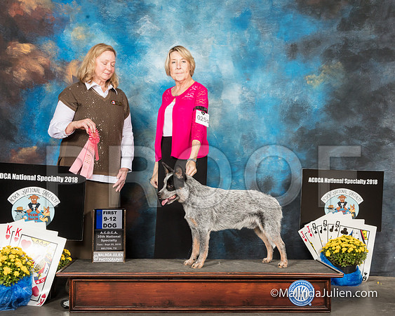 ACD #025s Tues 9-12D1 Melissa Ayers Judge Gaye Lynn Todd-SSR_2238-HR3