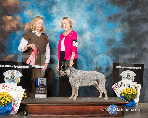 ACD #025s Tues 9-12D1 Melissa Ayers Judge Gaye Lynn Todd-SSR_2240-HR3