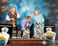 ACD #028s Tues 9-12B Kerry Hamilton Judge Gaye Lynn Todd