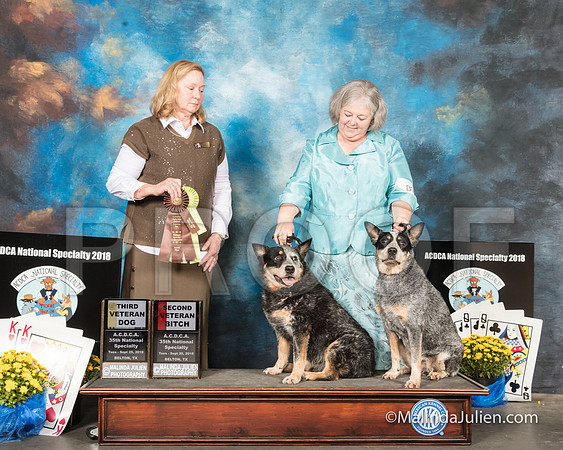 ACD #801s Tues 10+D3 10+B2 Jo Lynne Yorke Judge Gaye Lynn Todd-SSR_2250-HR3