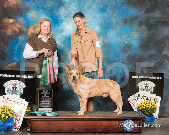 ACD #803s Tues Grand Sweeps 10+ Stacey Edwards Judge Gaye Lynn Todd-SSR_2215-HR3