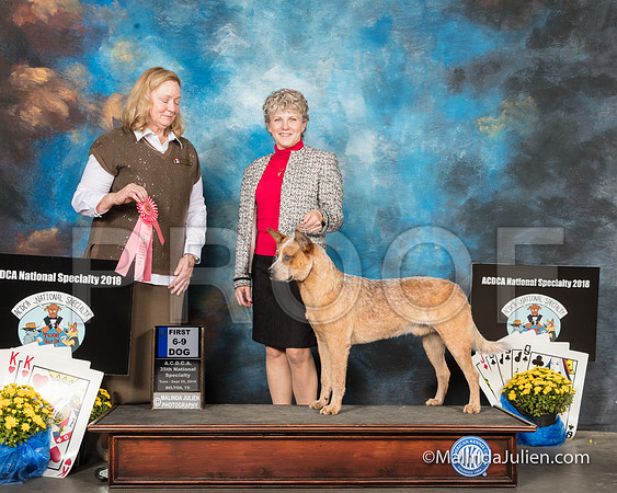 ACD #007s Tues 6-9D1 Kerry Hamilton M Staib Judge Gaye Lynn Todd-SSR_2247-HR3