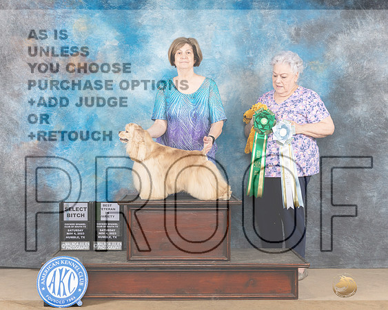 Cocker Spaniel #10 BVVSEL Sat Specialty Judge Stephanie Kaul-_JP_0947-CCKC2023HR3