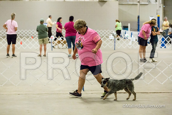 3-6 Mo Puppy Dogs Mon-JJJ_0505-HR3