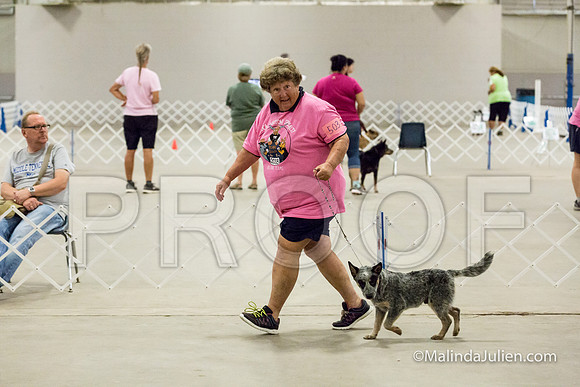 3-6 Mo Puppy Dogs Mon-JJJ_0507-HR3