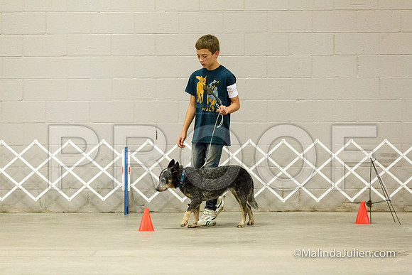 ACD #010R Mon Rally Nov A Leisel Moseley-JJJ_0449-HR3
