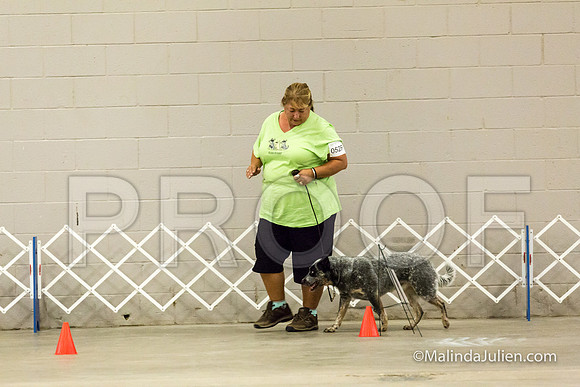 ACD #052R Mon Rally NovB Ellie Debra-JJJ_0287-HR3
