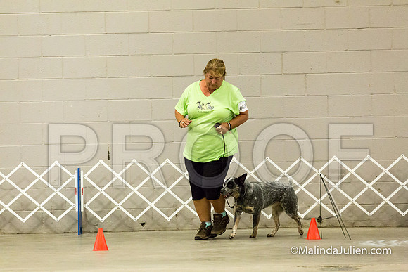 ACD #052R Mon Rally NovB Ellie Debra-JJJ_0288-HR3