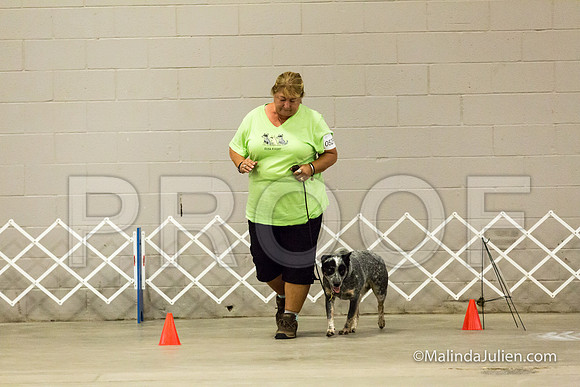 ACD #052R Mon Rally NovB Ellie Debra-JJJ_0289-HR3