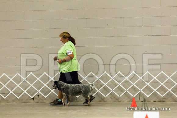ACD #052R Mon Rally NovB Ellie Debra-JJJ_0295-HR3