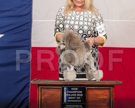 Poodle Toy #19 Sun NCh Odom PHartinger Wade DiNardo-SSR_1331-HR3
