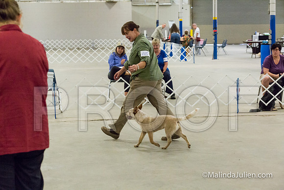 Best Puppy Mon-JJJ_0819-HR3