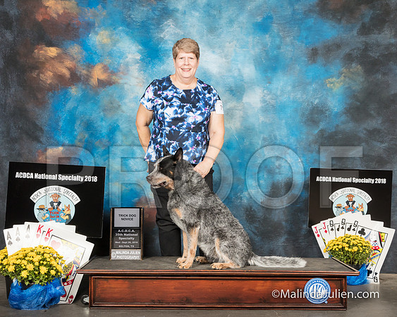 ACD #715 Wed TrickDog Nov Boon Janet Meek-SSR_2336-HR3