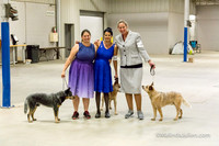 Club Candids Wed Sherri Thomas