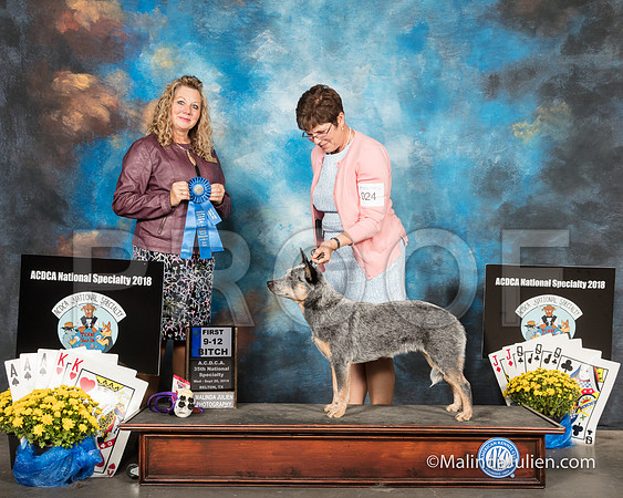 ACD #024 Wed 9-12B 1st Louanne Brooks Amelia Judge Sherry McLennan-SSR_2440-HR3
