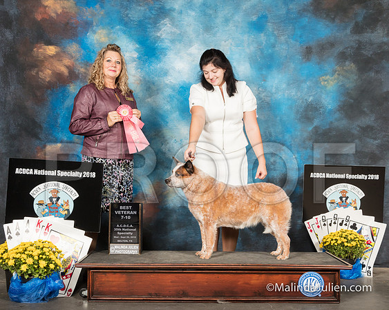 ACD #702 SB 7-10 VB1st Amanda ODell Judge Sherry McLennan-SSR_2352-HR3