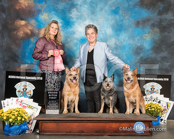 ACD #706bb Wed BroodB 1st Angelia Jennings Leigh Ann Yandle Perry Judge Sherry McLennan-SSR_2449-HR3