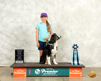 Australian Shepherd #484 Thurs TopJrAgil Judge Linda Lavolette
