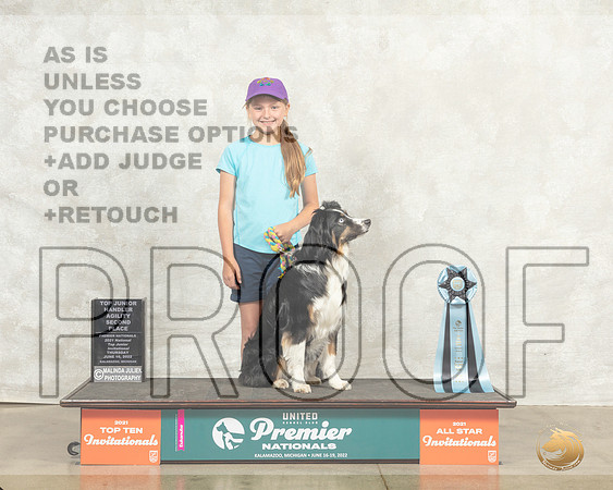 Australian Shepherd #484 Thurs TopJrAgil Judge Linda Lavolette__MJ_7741_Premier_2022_HR3