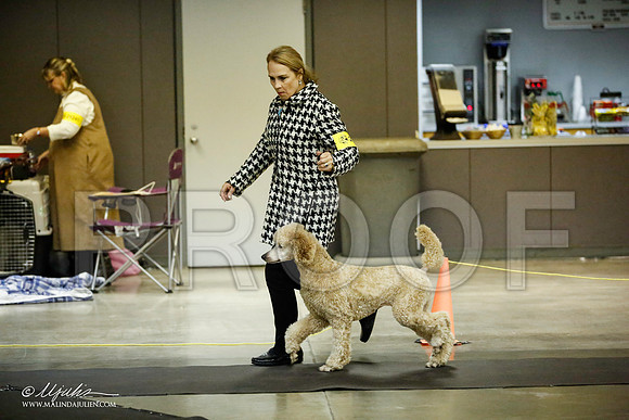 _JJ_5624-BeltonJan2015IABCA-HR3