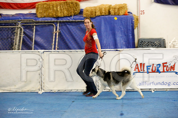 _M3_9417-AddisonHuskyMar2015-HR3
