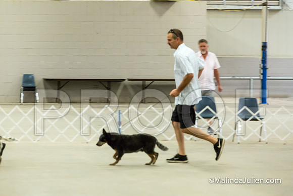 Stud Dog Wed-JJJ_3518-HR3